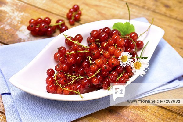 Schale mit roten Johannisbeeren