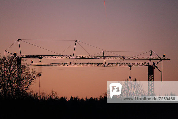 Construction cranes at sunrise  Germany  Europe