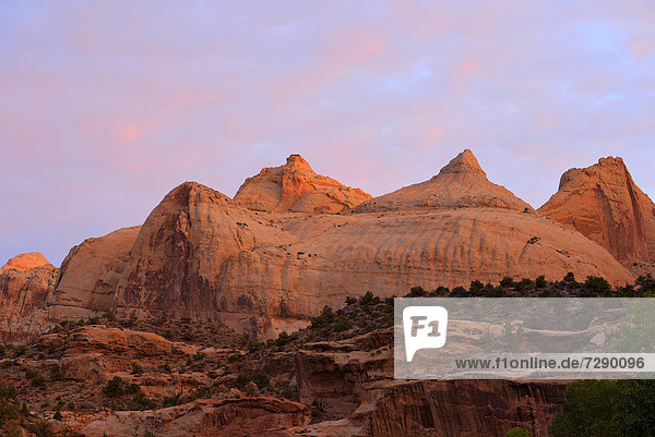 Navajo Dome Felsplateau im Morgenlicht  Sonnenaufgang  Capitol Reef Nationalpark  Utah  Südwesten  Vereinigte Staaten von Amerika  USA