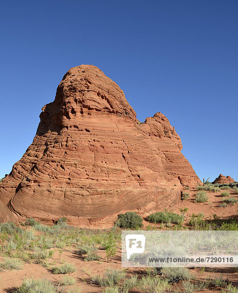 Teepees des Paw Hole  erodierte Navajo-Sandsteinfelsen am Eingang zu den South Coyote Buttes  Pareah Paria Plateau  Vermillion Cliffs National Monument  Arizona  Utah  Südwesten  Vereinigte Staaten von Amerika  USA