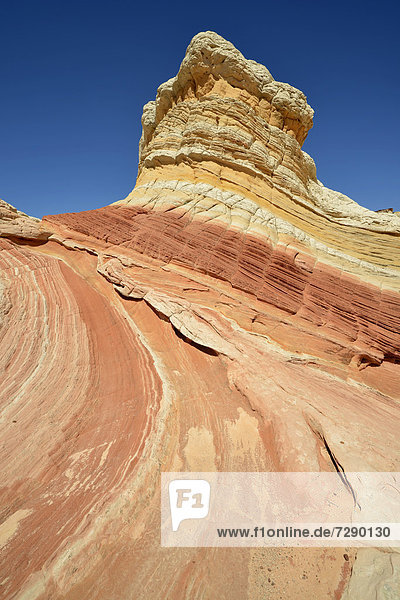 Lollipop Rock Brain Rocks at White Pocket eroded Navajo sandstone rocks with Liesegang bands or Liesegang rings Pareah Paria Plateau Vermillion Cliffs National Monument Arizona Utah Southwestern USA USA