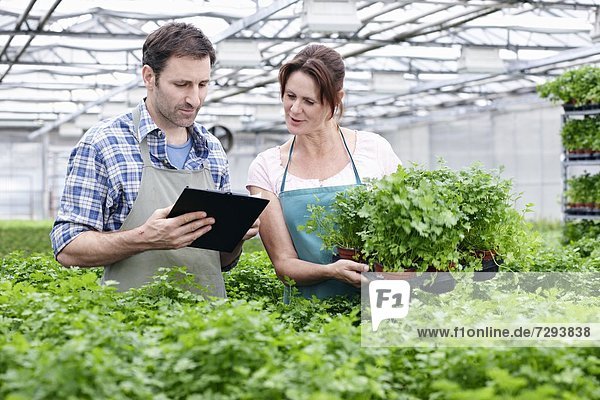 Mature man and woman with clip board in greenhouse