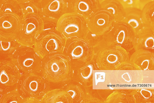 Caviar  close-up