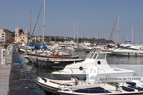 Italy  Campania  Procida island  Marina Grande harbour                                                                                                                                              