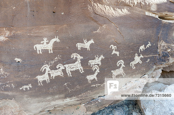Felszeichnungen der Ute-Indianer  Tiere und Reiter auf Felsen  Arches-Nationalpark  Utah  Westen der USA  Vereinigte Staten von Amerika  Nordamerika