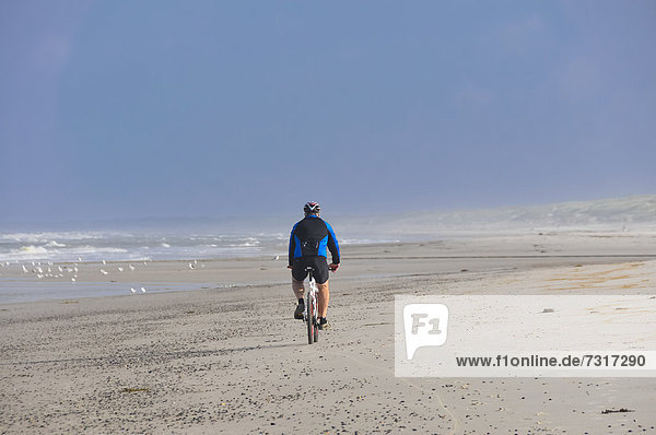 Cyclist on a beach  West Jutland  Denmark  Europe
