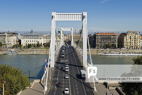 Hungary  Budapest  Elizabeth bridge                                                                                                                                                                 