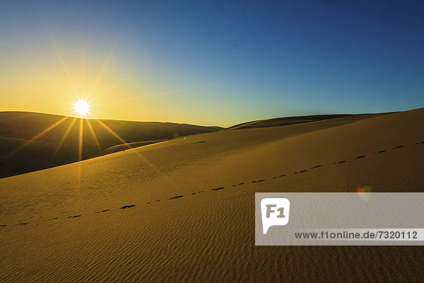 Namib Wüste  Sonnenuntergang  Namib Naukluft Park  Namibia  Afrika