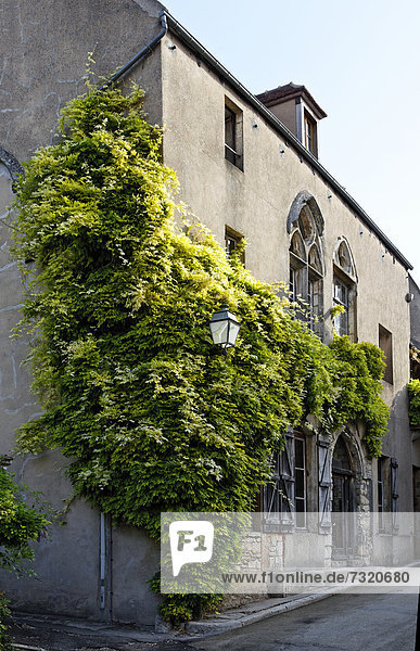 Frankreich Europa Wohnhaus Pflanze Fassade Hausfassade Burgund