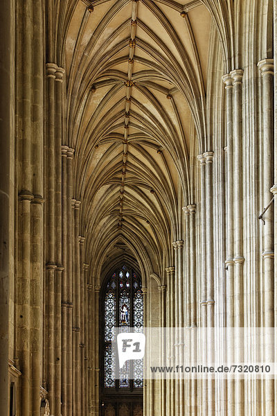 Kathedrale von Canterbury  Seitenschiff des Langhaus  Region Südostengland  Verwaltungsgrafschaft Kent  England  Großbritannien  Europa