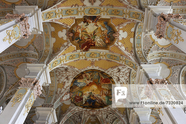 Deckengewölbe der katholischen Pfarrkirche Heilig-Geist  gehört zu den ältesten erhaltenen Kirchengebäuden Münchens  1724-30 barockisiert  das Deckenfresko ist von den Gebrüdern Asam  Prälat-Miller-Weg 3  München  Bayern  Deutschland  Europa