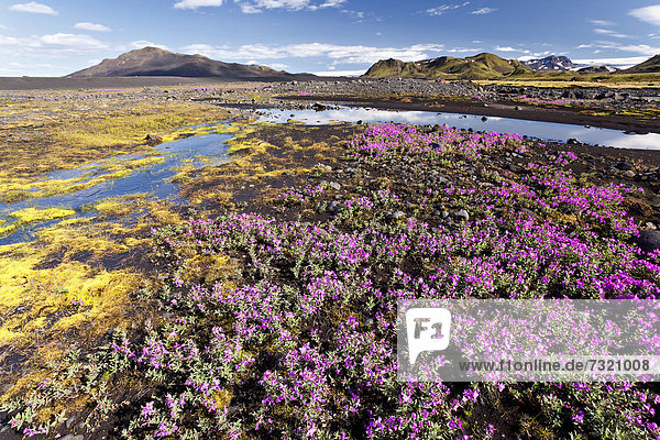 Hilly landscape  Emstrur  Iceland  Europe