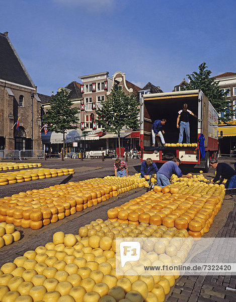 Käse  Niederlande  Alkmaar  Markt