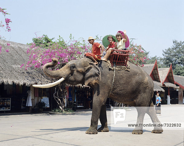 Asia. Thailand. Bangkok. Nakom Pathom. Tourists riding on elephant. Rose Garden.