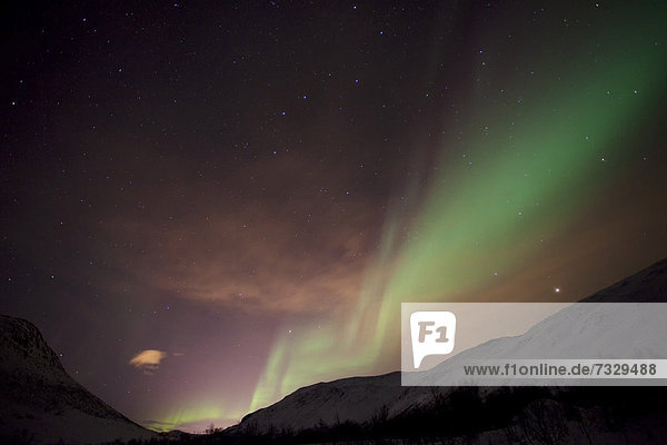 Northern Lights over the Kattfjord pass in winter  Kvaloya  Tromso  Norway  Europe