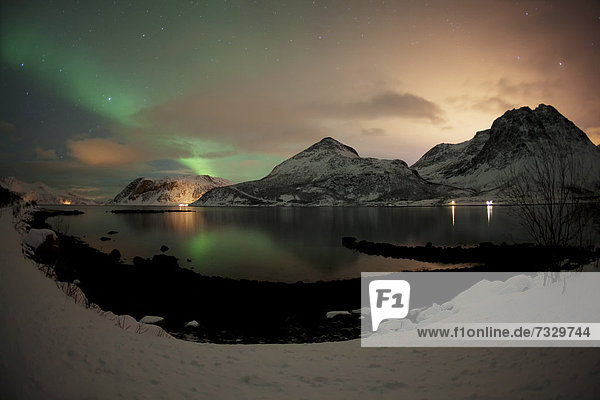 Northern Lights over the Gr¯tfjord in winter  Kvaloya  Tromso  Norway  Europe