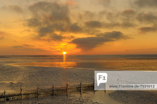 Sonnenaufgang an der Nordsee  Insel Texel  Westfriesische Inseln  Niederlande  Holland  Europa