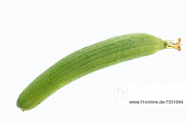 Schwammgurke  Luffa  Loofah oder Schwammkürbis (Luffa aegyptiaca  Luffa cylindrica)  Frucht