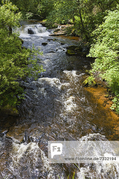 Taf Fechan Wasserfall  Brecon-Beacons-Nationalpark  Powys  Wales  Großbritannien  Europa