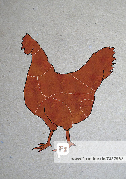 Ein Metzgerdiagramm eines Huhns