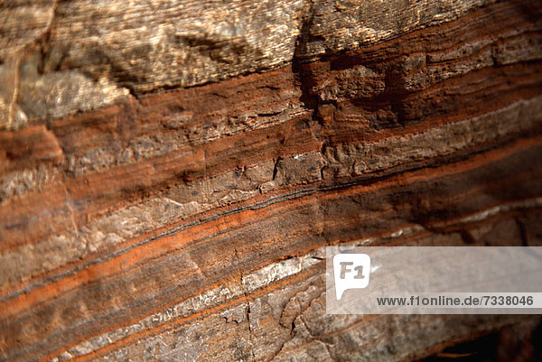 Detail der natürlichen Muster in Stein  Karijini Nationalpark  Newman  Western Australia  Australien