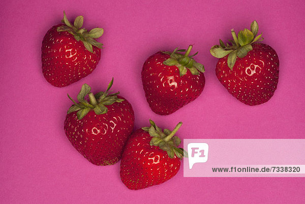 Five strawberries on a pink background
