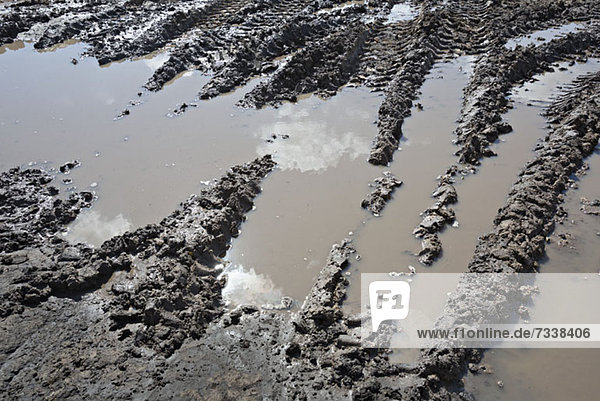 Range of construction vehicle tracks across a puddle on construction site