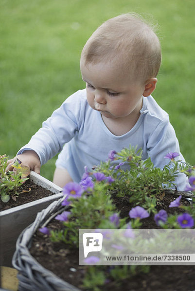 Baby im Garten mit Blick auf den Blumentopf