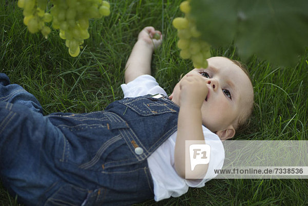 Baby liegt auf Gras und schaut auf Trauben.
