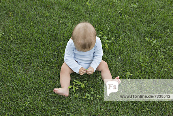 Baby spielt mit Blättern auf dem Rasen