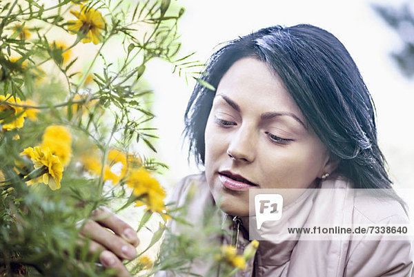 Eine junge Frau  die eine gelbe Wildblume in Betracht zieht.