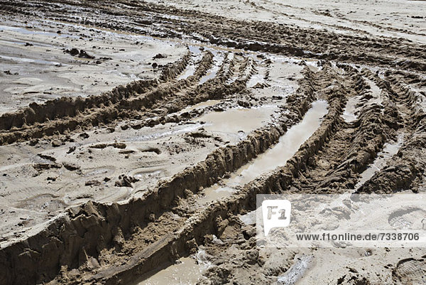 Deep tire tracks imprinted on a muddy terrain