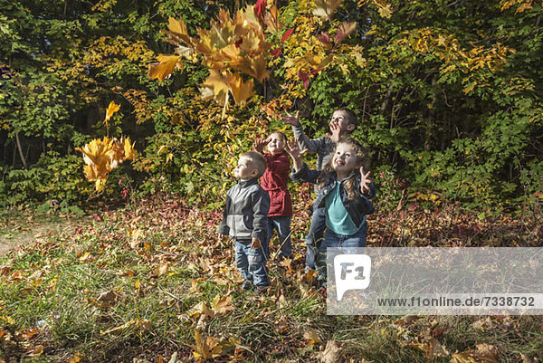 Vier Kinder versuchen  fallende Herbstblätter zu fangen.