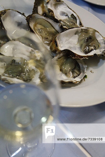 A plate of raw oysters and a glass of white wine  close-up
