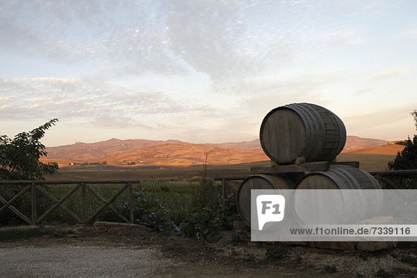 Fässer für die Lagerung von Wein in einem Weinberg  Sizilien  Italien