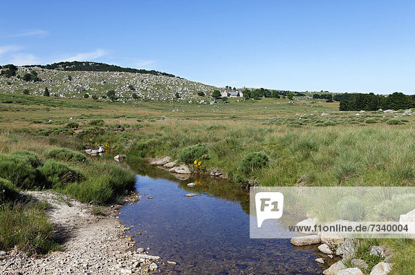 Kleines Dorf mit Bach in der Nähe von Pont de Montvert  Tal der Tarn  die Causses und die Cevennen  UNESCO Weltkulturerbe  Nationalpark Cevennen  Parc National des Cevennes  LozËre  Languedoc Roussillon  Frankreich  Europa