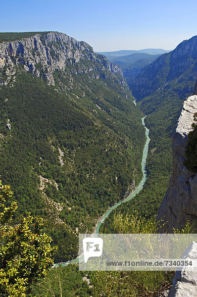 Verdonschlucht  Gorges du Verdon  auch Grand Canyon du Verdon  Regionaler Naturpark Verdon  Provence  Provence-Alpes-Cote-d'Azur  Frankreich  Europa