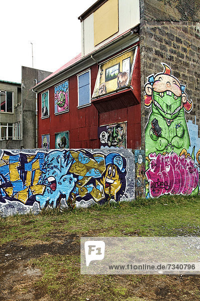 Reykjavik Hauptstadt Europa Graffitiwand Island