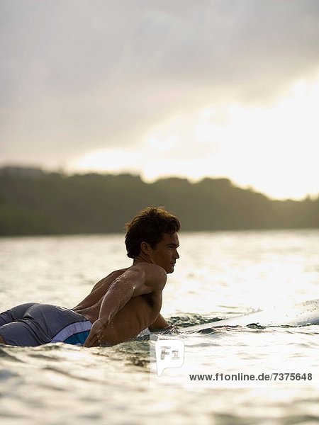 Profil Profile Mann Surfboard paddeln jung