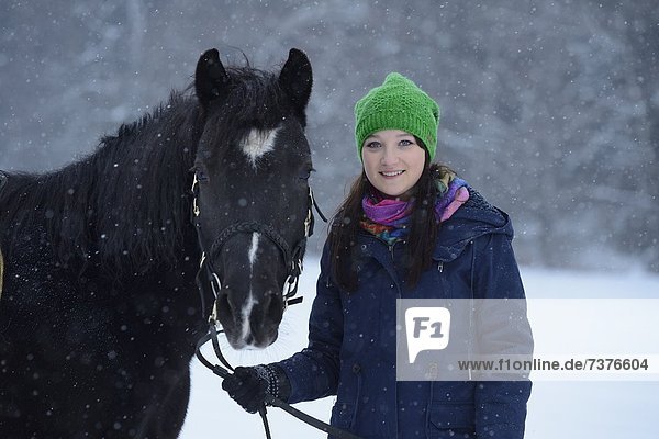Young woman with arabo haflinger horse in snow  Upper Palatinate  Germany  Europe