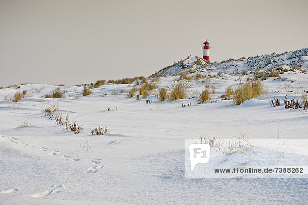 Ellenbogen with lighthouse in winter  Sylt  Germany
