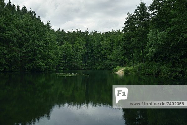 Bathing and fishing lake at Darmstadt-Kranichstein  Hesse  Germany