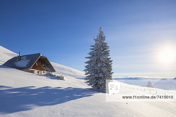 Alpine hut at the Trattberg Salzkammergut Mountains Austria