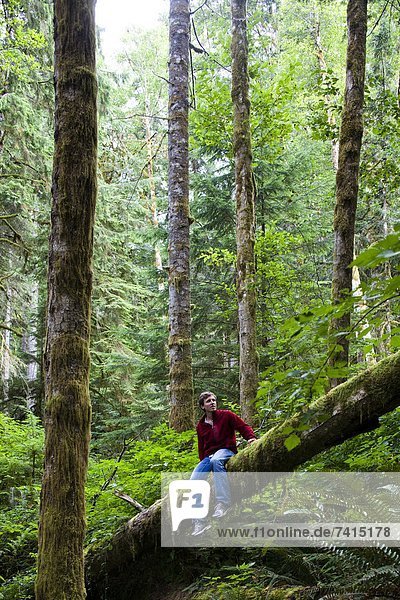 A man sits on a log in the thick green forest of the Olympic National Park.