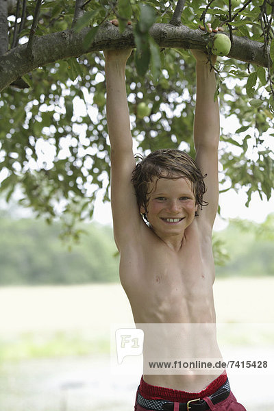 Boy (10-11) hanging on tree branch