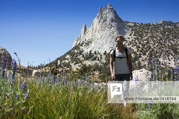 Rock Climbing Lifestyle Sierras California
