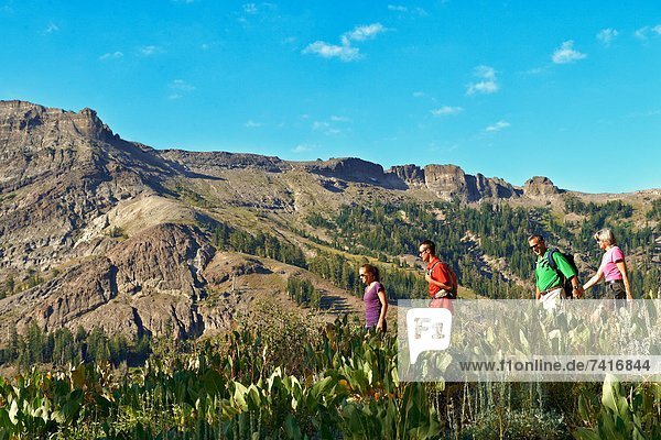 A family enjoys the beauty of a Summer hiking adventure.
