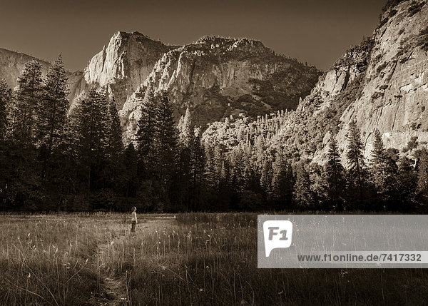 sepia getont  Yosemite Nationalpark