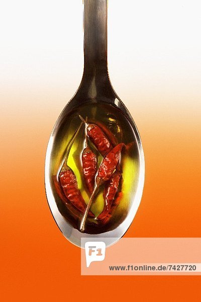 Löffel mit getrockneten Chilischoten in Olivenöl