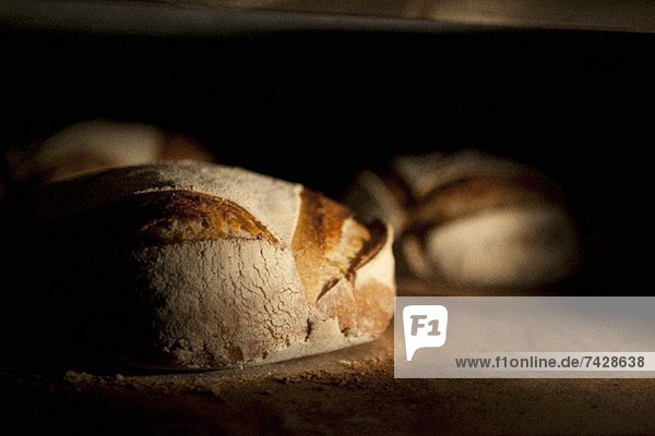Brote im Backofen